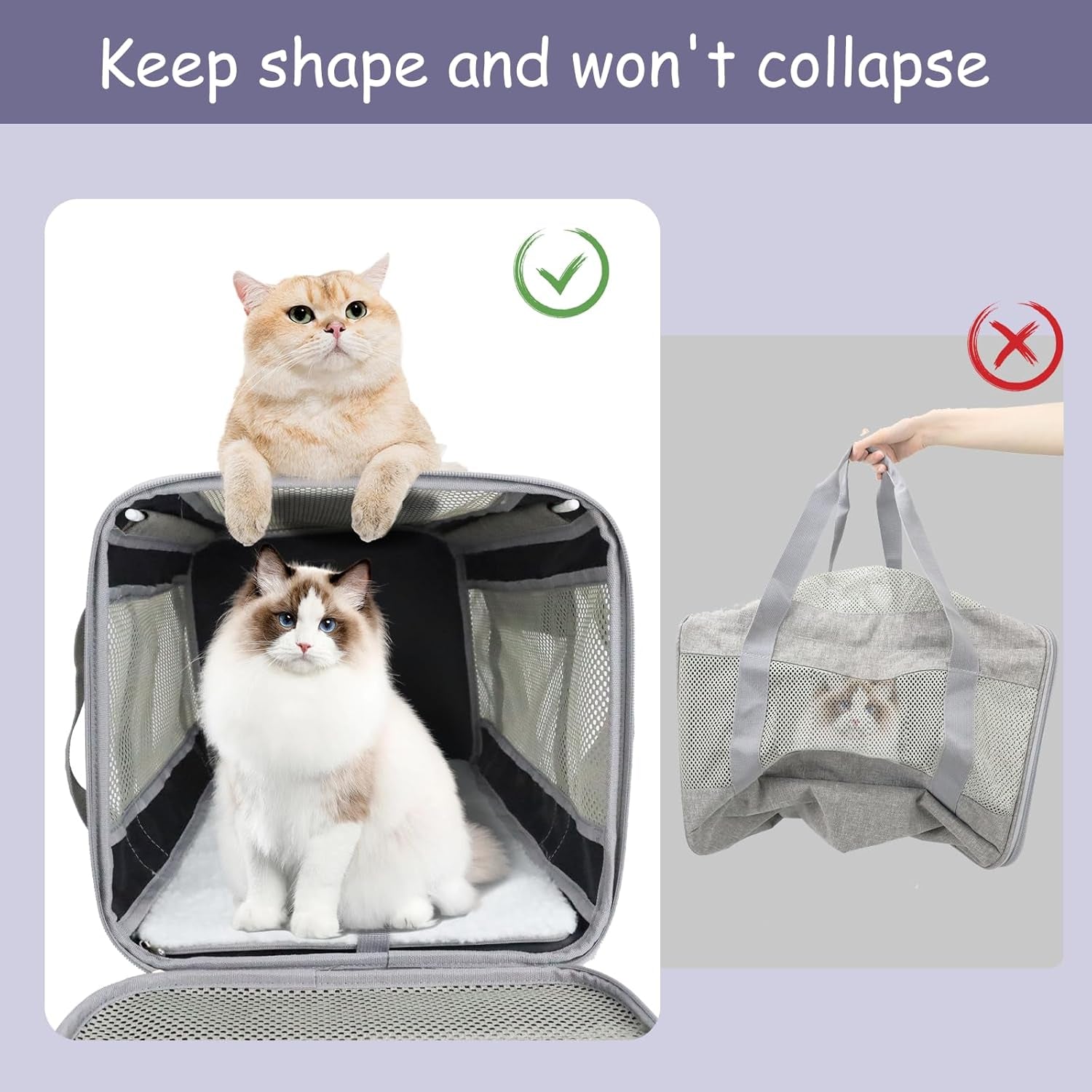 Pet Carrier Airline Approved Pet Carrier Dog Carriers for Small Dogs, Cat Carriers for Medium Cats Small Cats, Small Pet Carrier Small Dog Carrier Airline Approved Dog Cat Pet Travel Carrier