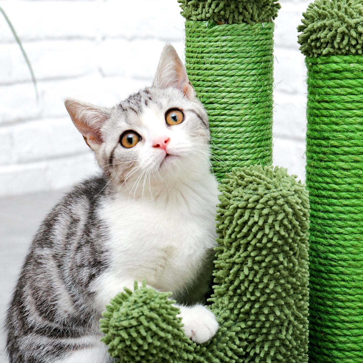 27" Cactus Cat Scratching Posts Sisal Cat Scratcher Green Large